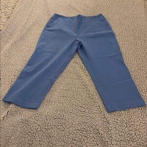 Rachel Zoe Blue Cropped Pull on Pants with side pockets SZ 12